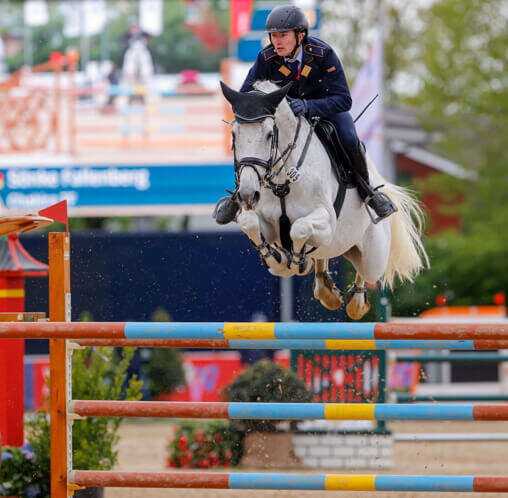 seo minerale turnier pferd